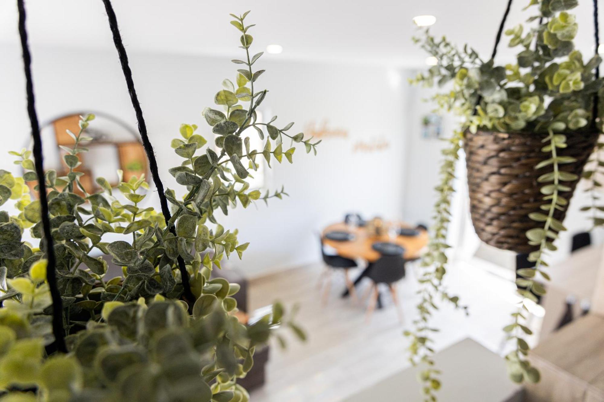 Av Curacao - Centrally Located Spacious Apartment Willemstad Buitenkant foto